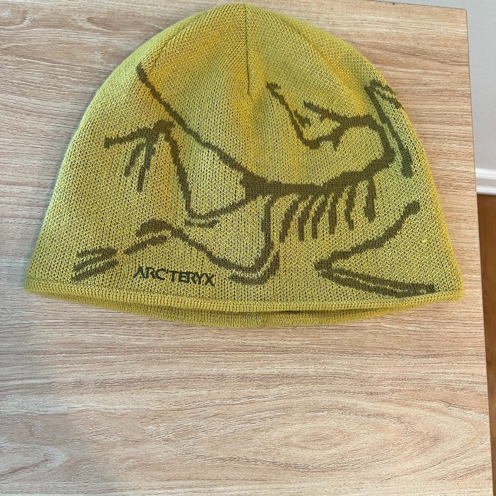 arcteryx bird head toque beanie yellow